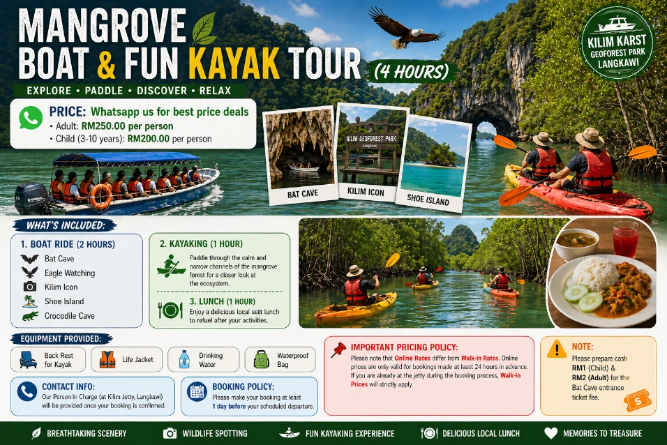 Mangrove Boat And Fun Kayak Tour (4 hours)