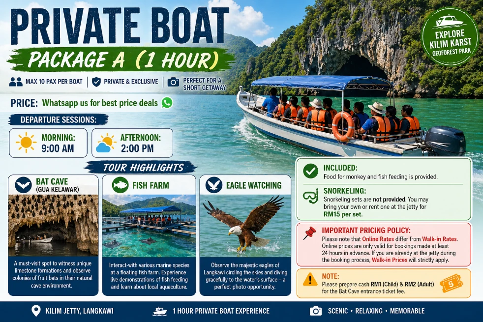 1 Hour Private Mangrove Boat Tour